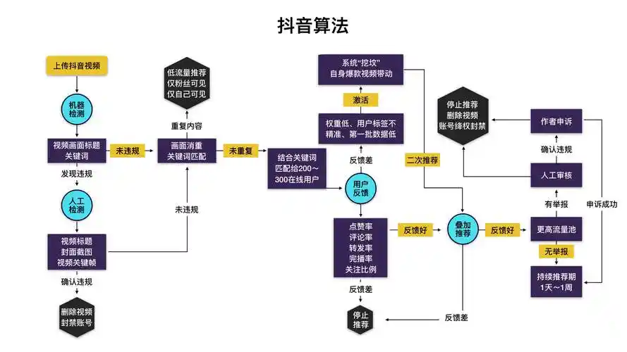 抖音、小红书深度算法逻辑，爆款文案视频打造-娱乐星科技